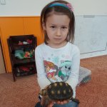 phoca_thumb_m_elva 33 Fotogalerie